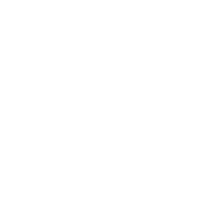 Rally Logo